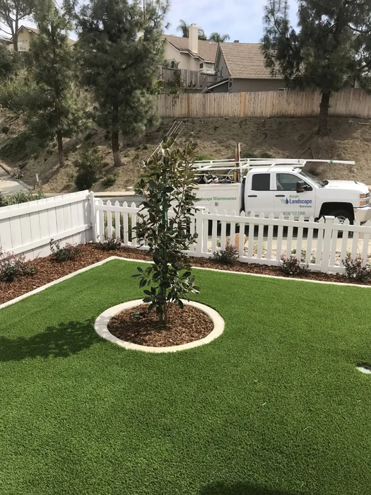 Custom concrete tree ring and planter edging in Lakeside CA