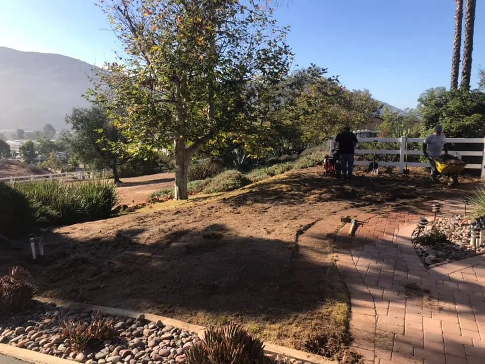 Phase 1 slope grading and site preparation for rustic flagstone pathway in Alpine CA